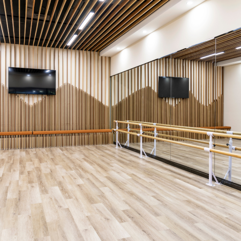 Acrylic Perspex Mirror