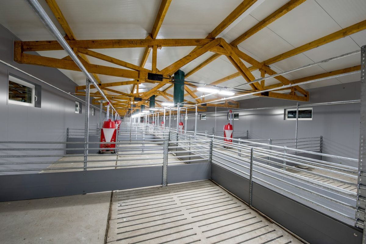 Hygienic PVC wall cladding in agricultural building Ireland — pressure washable and resistant to urine and disinfectants